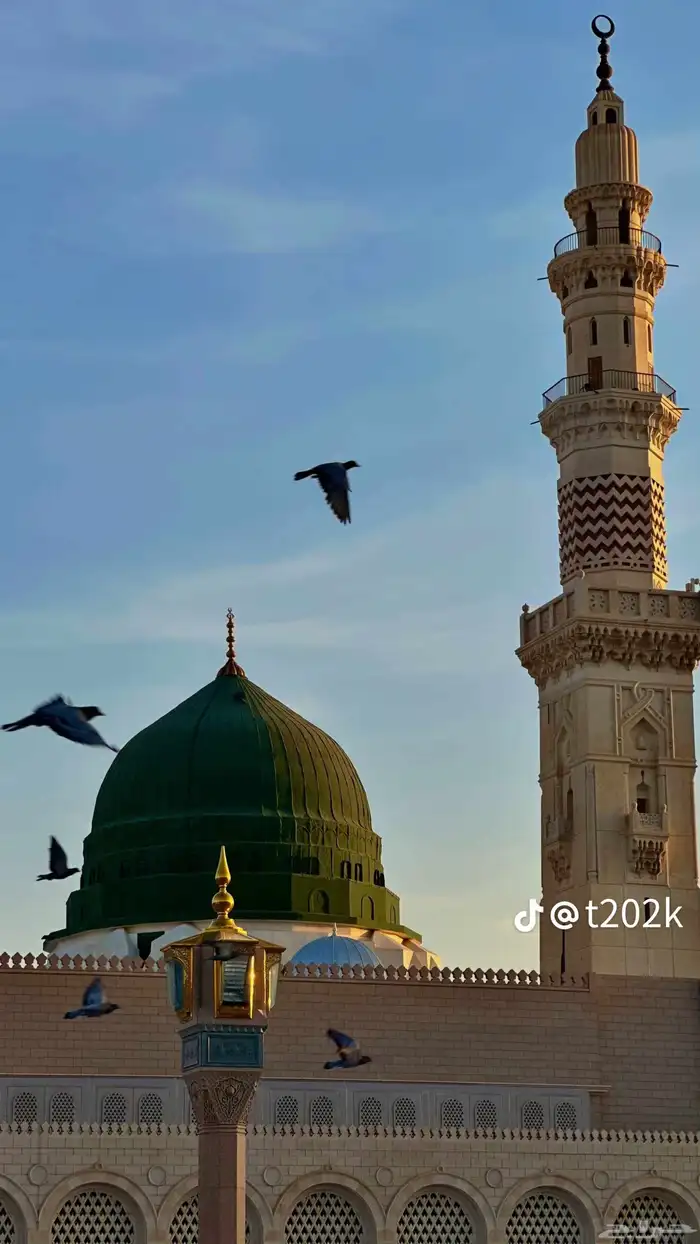 مطلوب شقة للإيجار غرفتين صالون بناء عوائل نظام البناء شقق 0