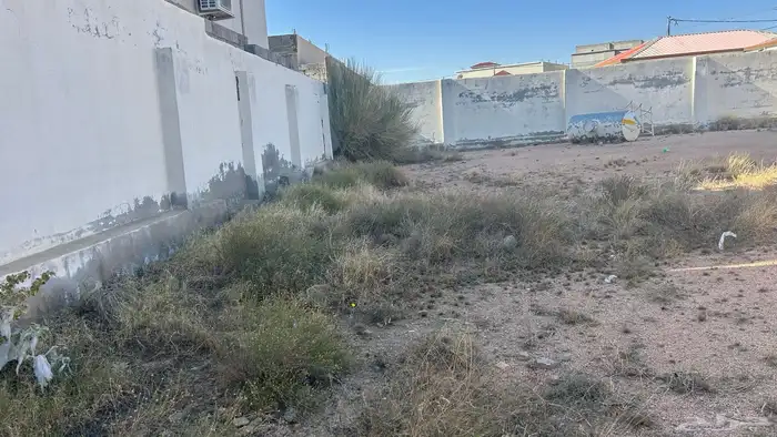 للبيع أ ر. ض 8