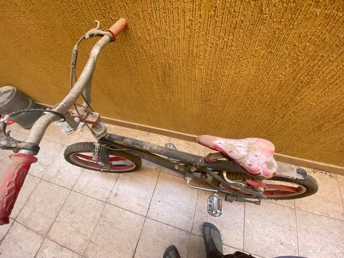 سياكل كوبرا 3