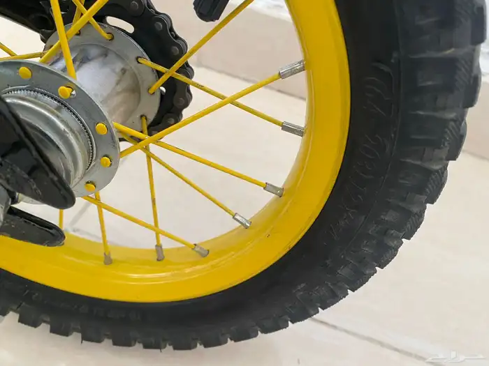 سيكل بايونير 2