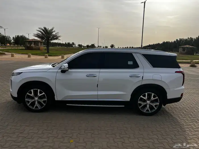 بالسيد 2020 12