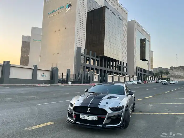 موستنج 2016 سبيشل كاليفورنيا 3