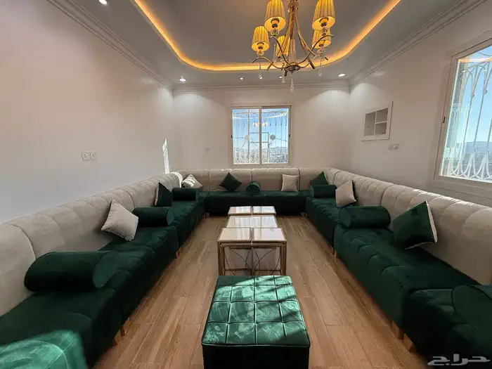 جلسات كنب فاخرة أخضر   طاولات   خزانة قهوة   شاشة للبيع 1