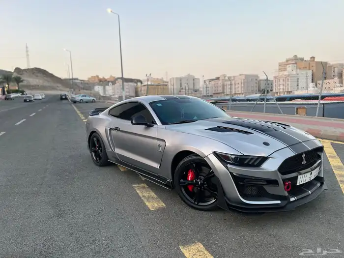 موستنج 2016 سبيشل كاليفورنيا 6