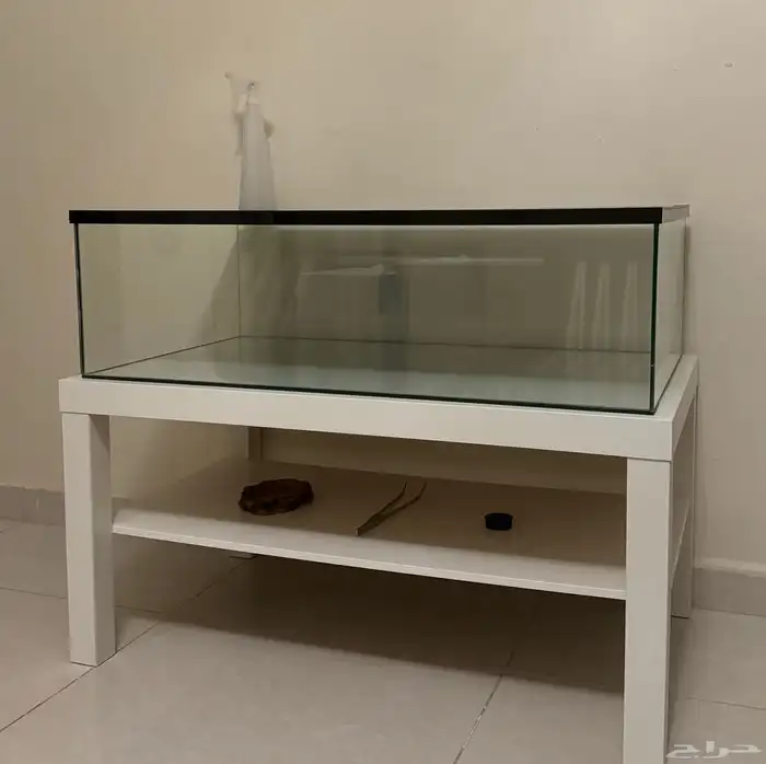 أحواض زواحف 5