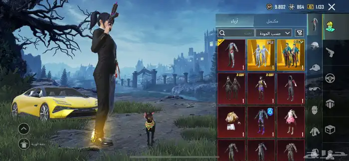 حساب ببجي فخم 10