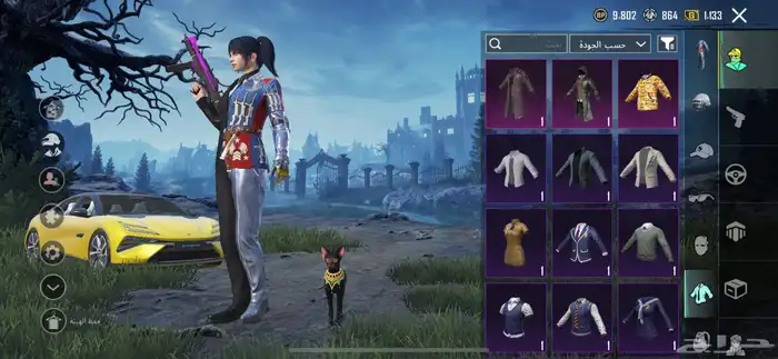 حساب ببجي فخم 12