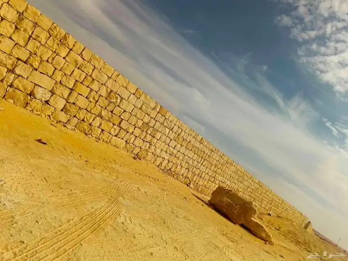 لدينا موسسه توريد وغرس نخيل عربي وشنطني وشغال مدرجات ومشيات 1