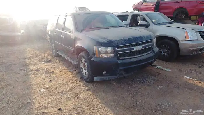 امريكي شفر2009لداشركه محركات العاصمه صبياتشليح عكوه 0