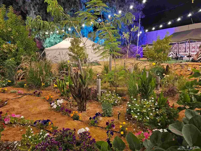 مخيم المزاحمية تبراك بسعر رمزي 8