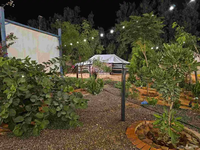 مخيم المزاحمية تبراك بسعر رمزي 26