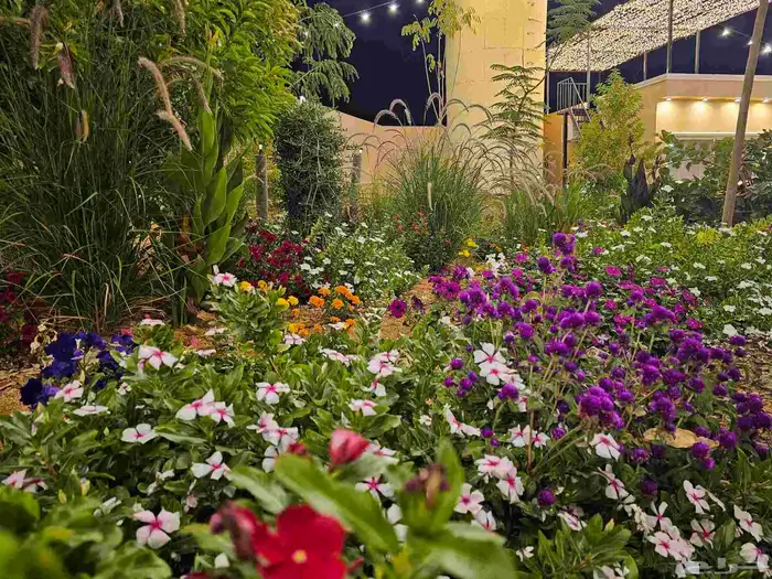 مخيم المزاحمية تبراك بسعر رمزي 4