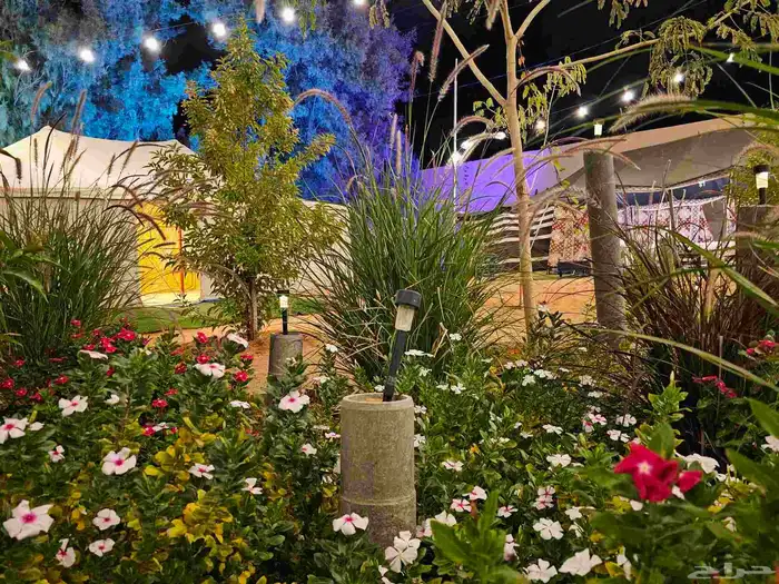 مخيم المزاحمية تبراك بسعر رمزي 2