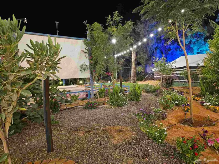 مخيم المزاحمية تبراك بسعر رمزي 9