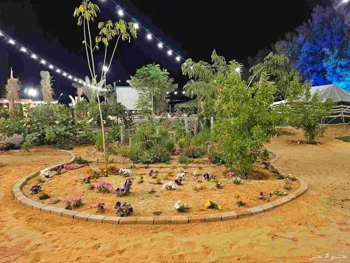 مخيم المزاحمية تبراك بسعر رمزي 12