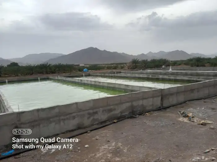 خزانات المياه في خزانات مبروم مزرعه خزانات سمك خزانات مسبخ 7