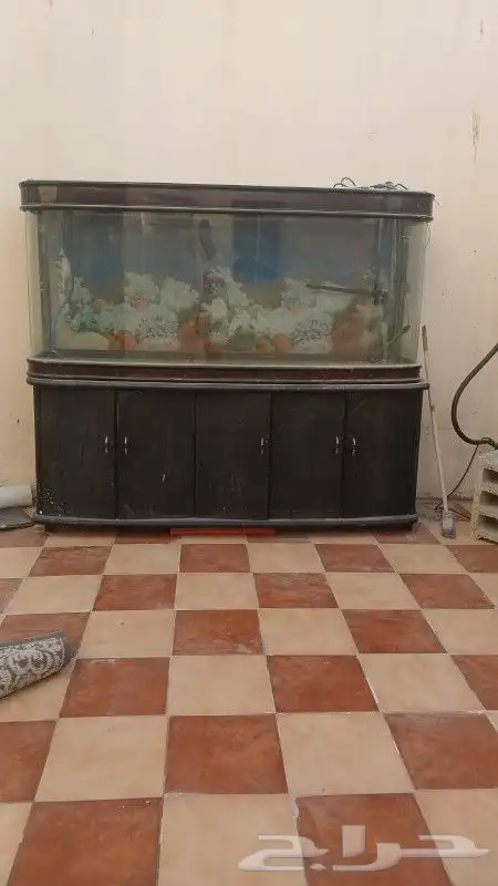 حوض للا الاسماك. على. الخاص. لتواصل 0