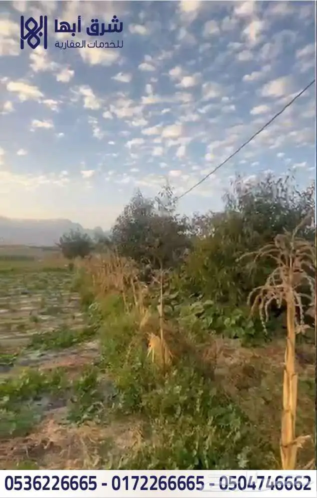 ارض زراعية بها بيت للبيع - حي النسيم - تنومه 2