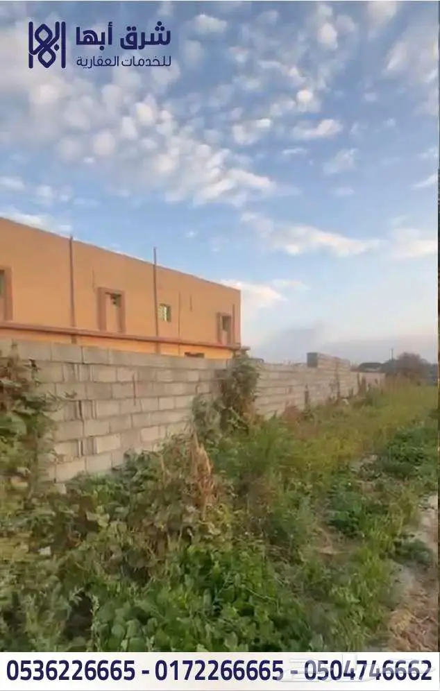 ارض زراعية بها بيت للبيع - حي النسيم - تنومه 3