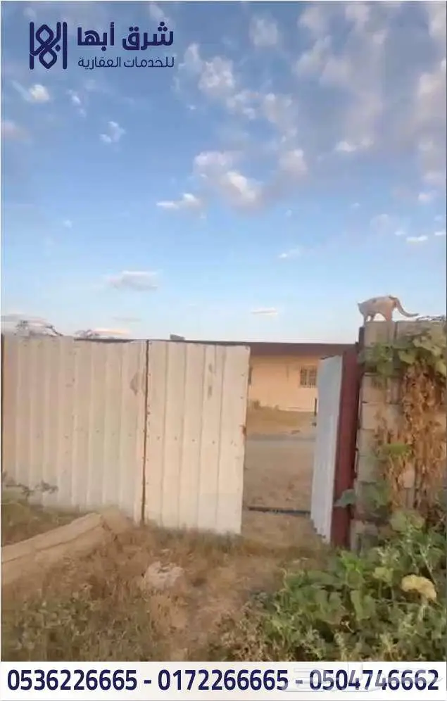 ارض زراعية بها بيت للبيع - حي النسيم - تنومه 6