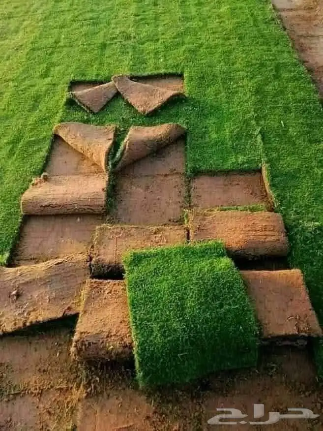 مشتل تنسيق الحد ائق 5