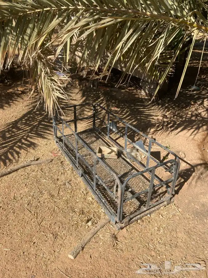 سله جمس نظيفه 0