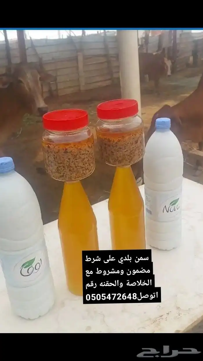 سمن بلدي مضمون بقري مع الخلاصة والحقنه 0