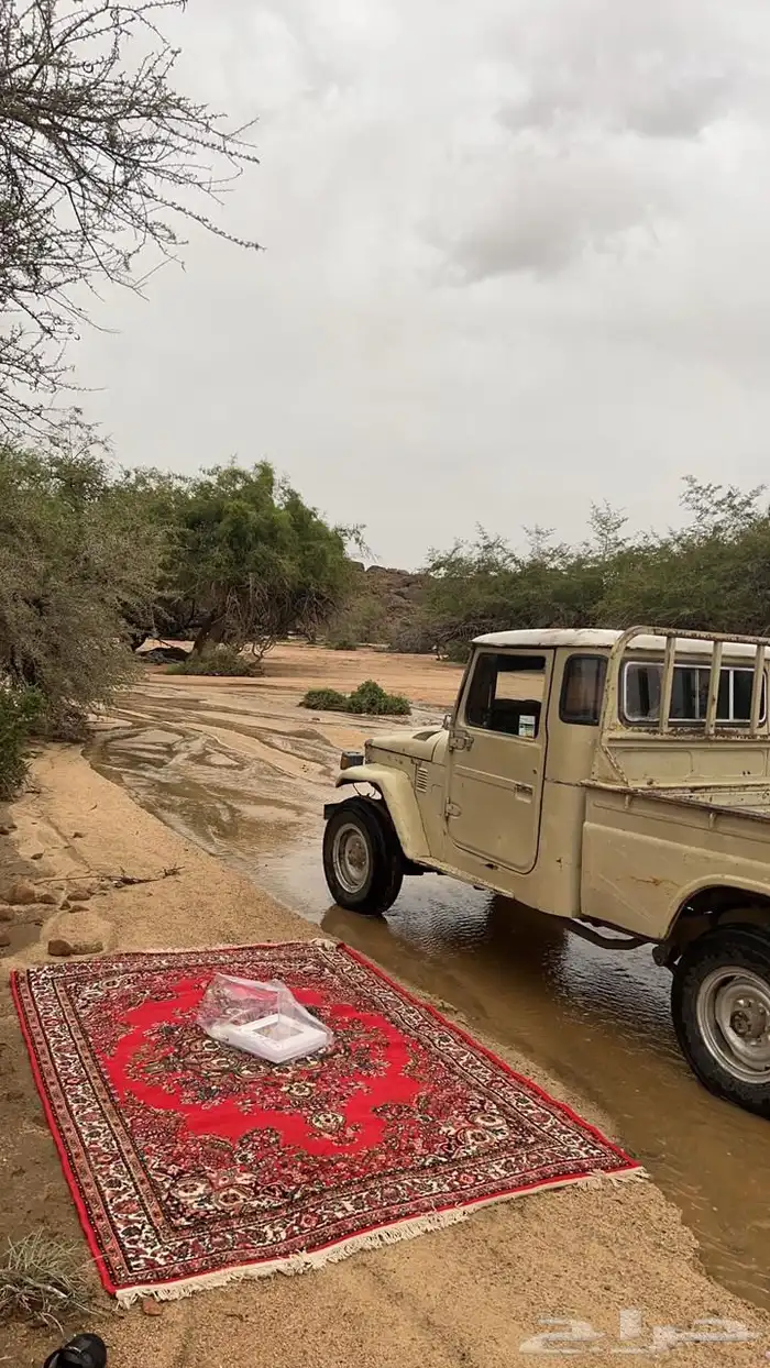 جيب شاص موديل 84 نضيف 2