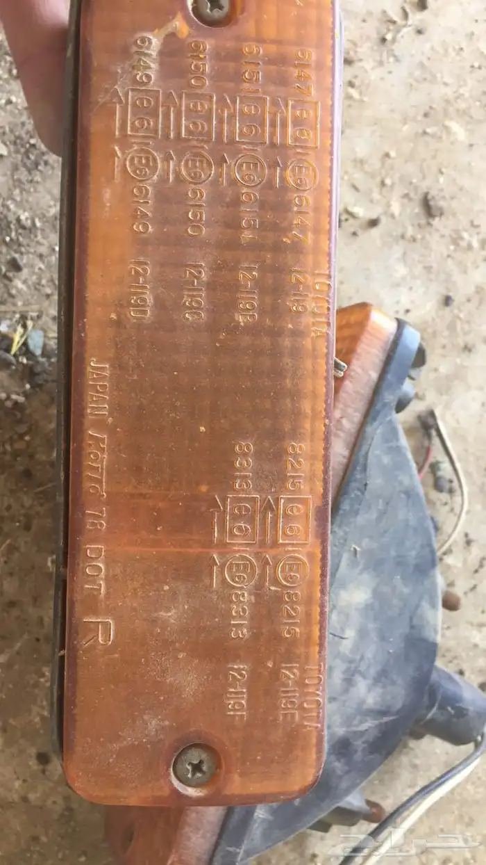 نور كرسيدا 0