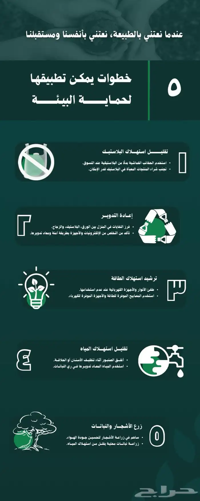 مصممة جرافيك 3