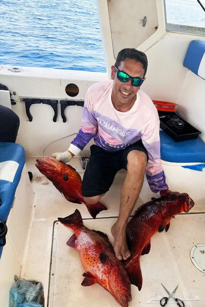 رحله صيد رحله بياضه تأجير قارب رحله بحريه رحله بالساعه 8