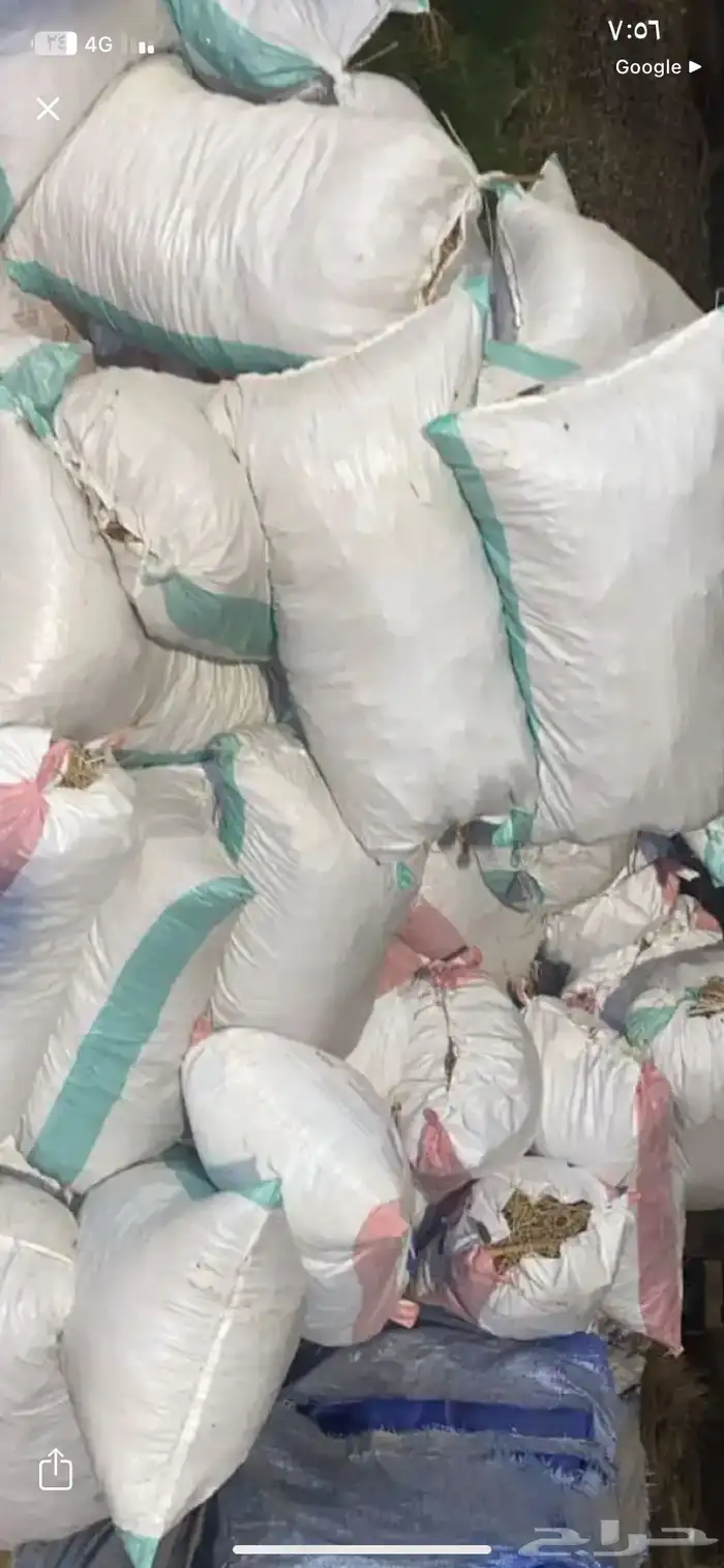 تمر حق حلال. حلال 1