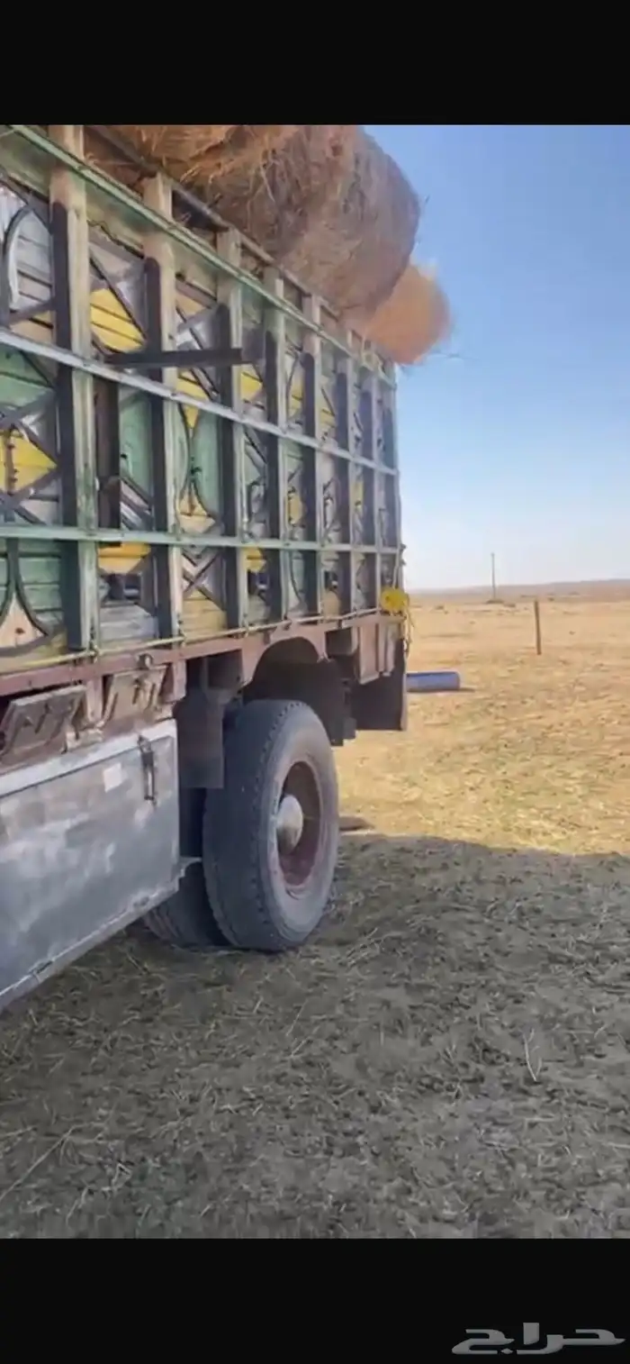 بوز لوري للبيع 0