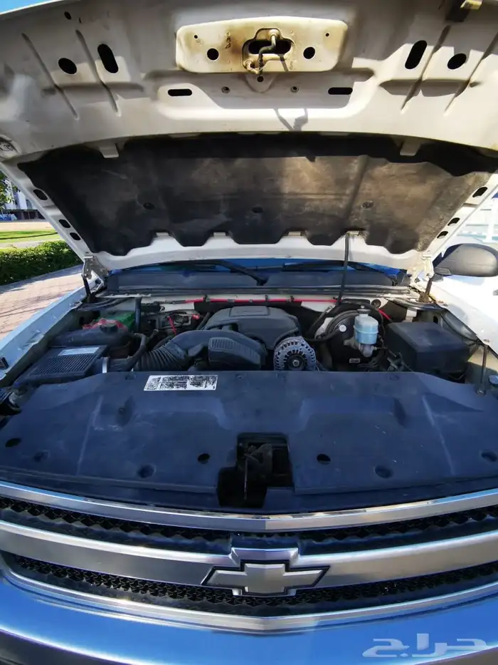 حوض سلفرادو غمارة ونص 2008 11