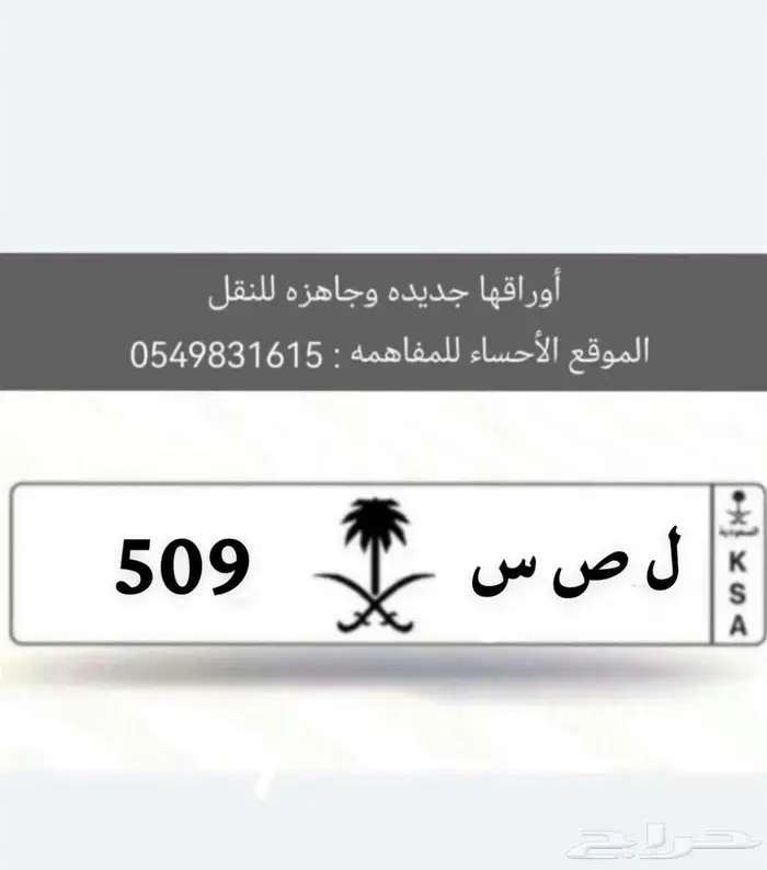 للبيع لوحه 509 0