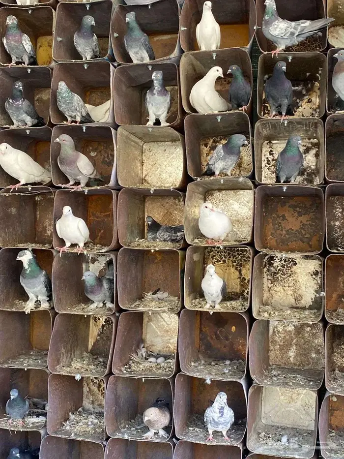 فرصة حمام مشكل للبيع 4