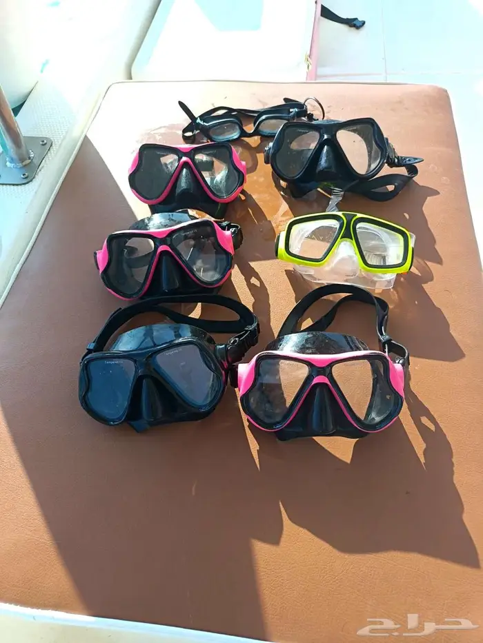 رحلة بياضه رحلة صيد رحله رحلات بحريه نزهه داخل شرم أبحر 6