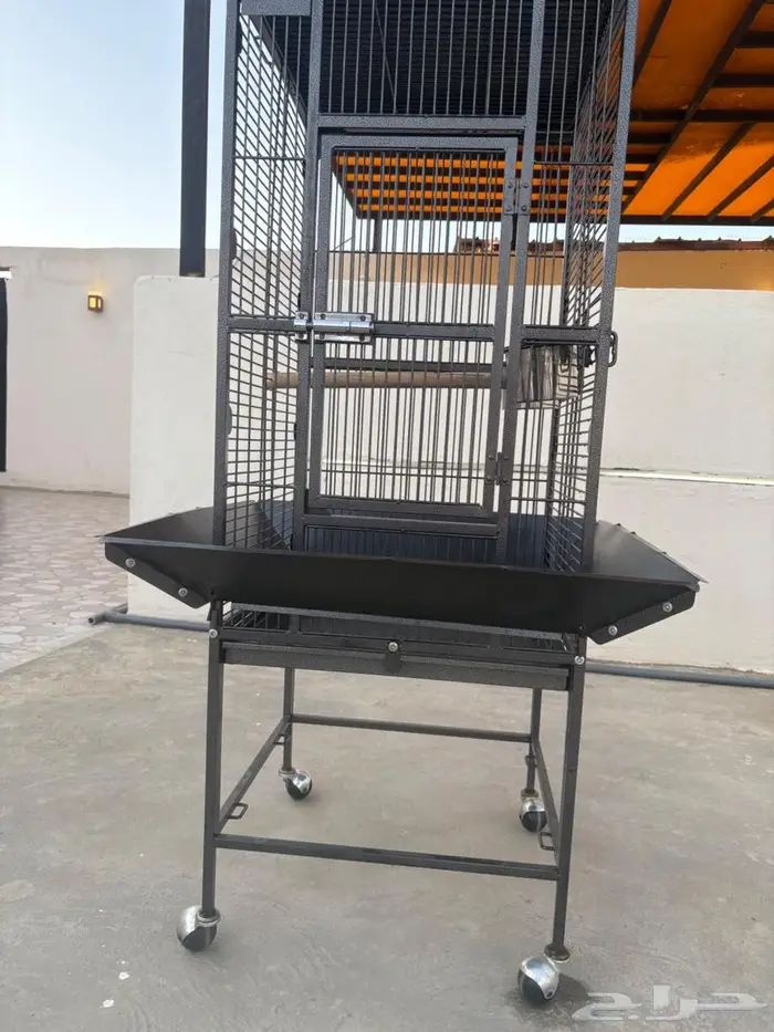 للبيع شبك ببغاء 1