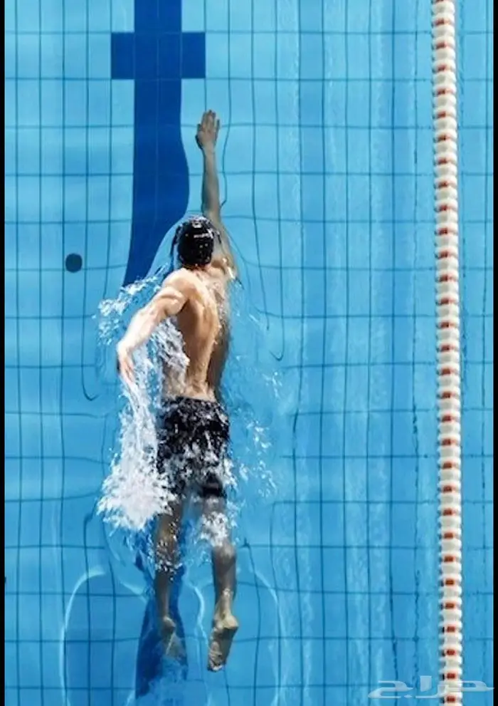 تدريب سباحه من الصفر الى الاحتراف 1