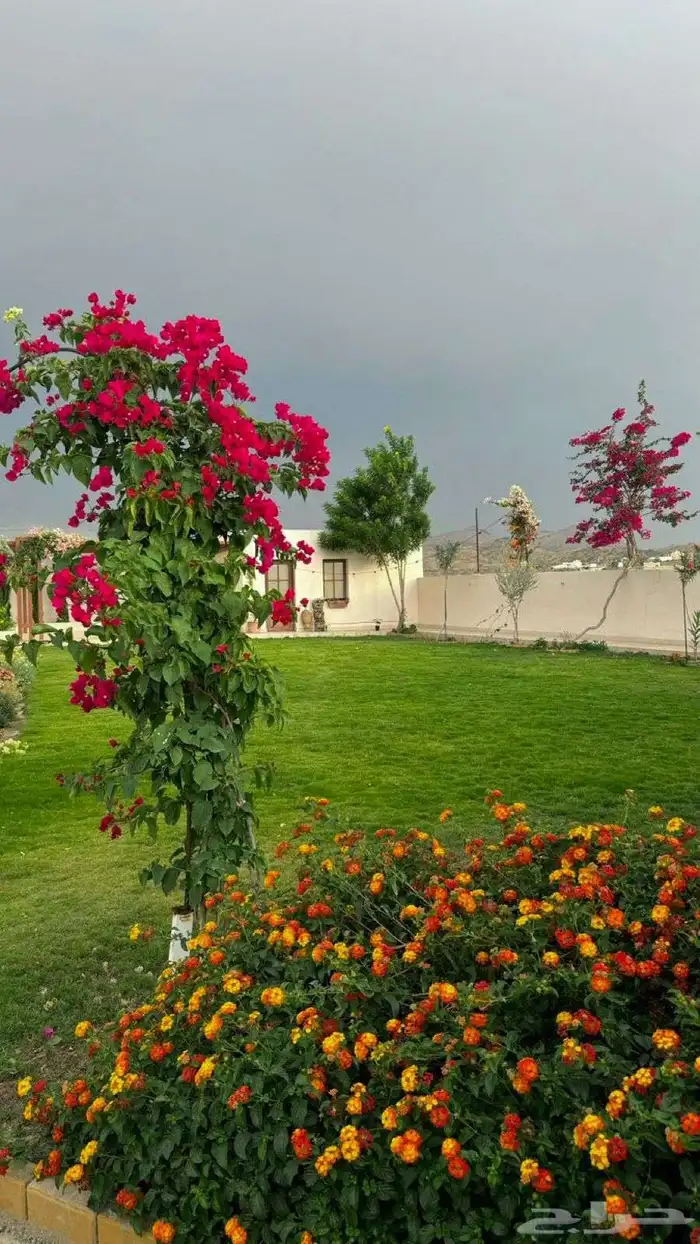 مزارع للحديقة 0