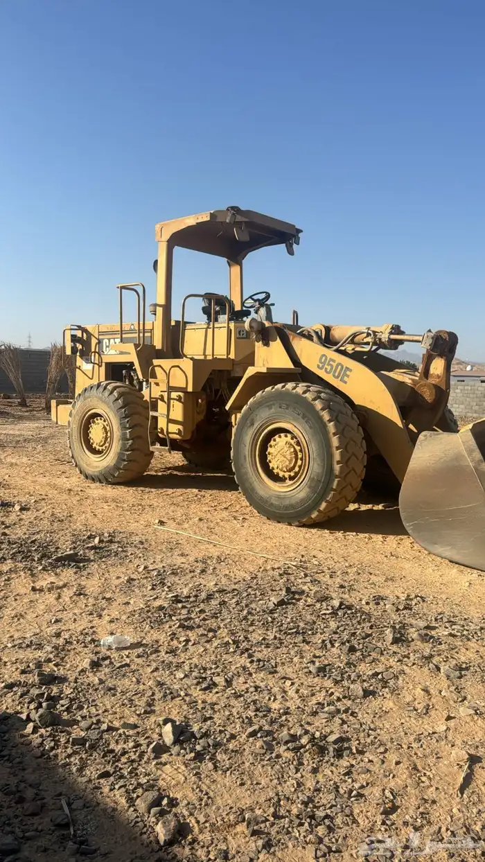 شيول للبيع 1