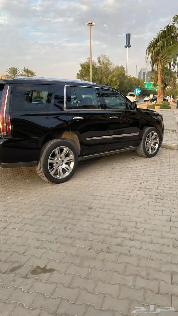 كدلك اسكاليد 2015 للبيع 2