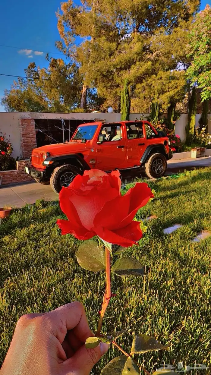 جيب رانجلر لون ترند للبيع 4