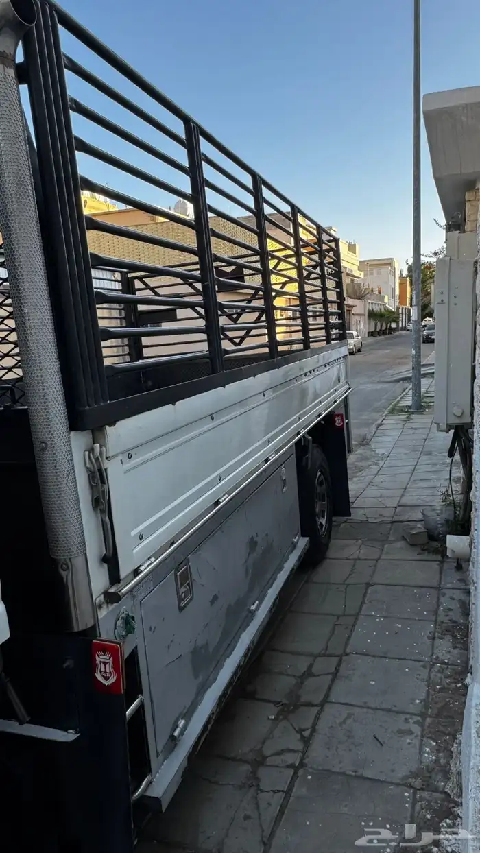 ايسوزو دينه 2014 4