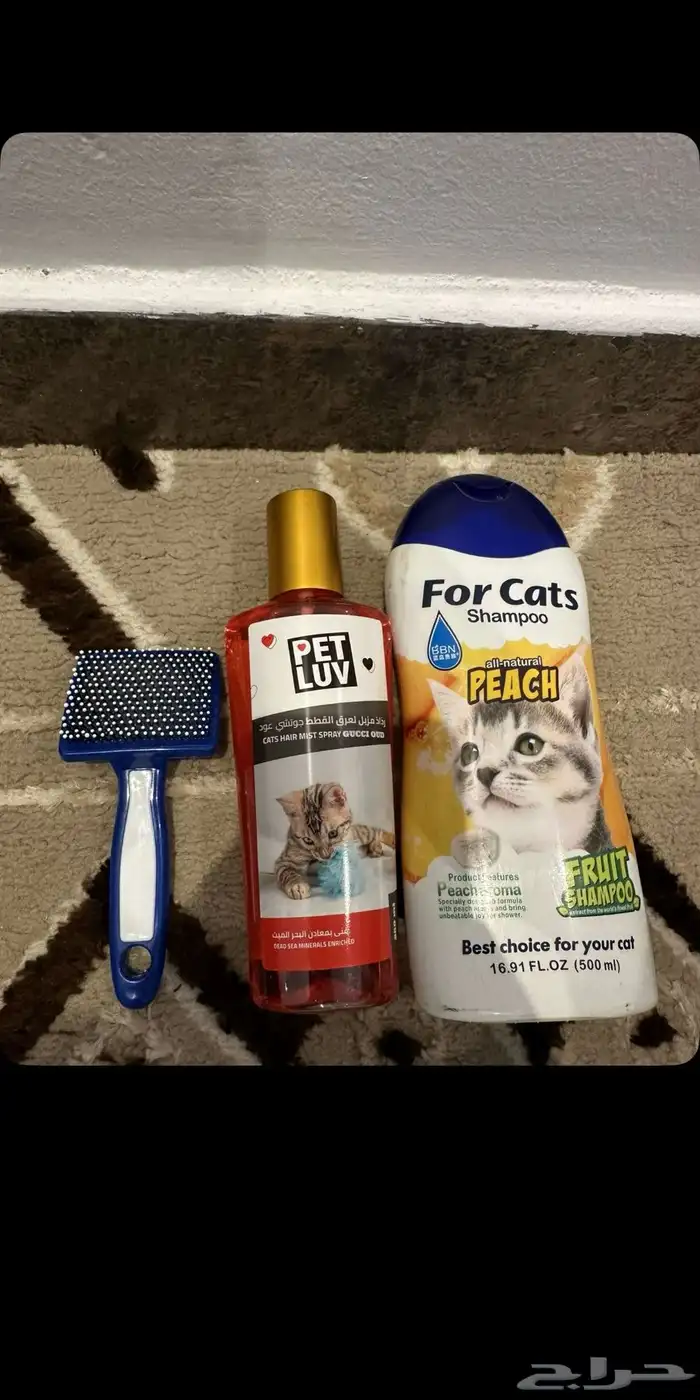 قط همالايا 7