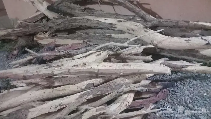 محفظة الغزاله 2