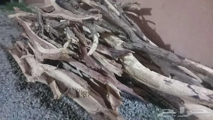 محفظة الغزاله 1