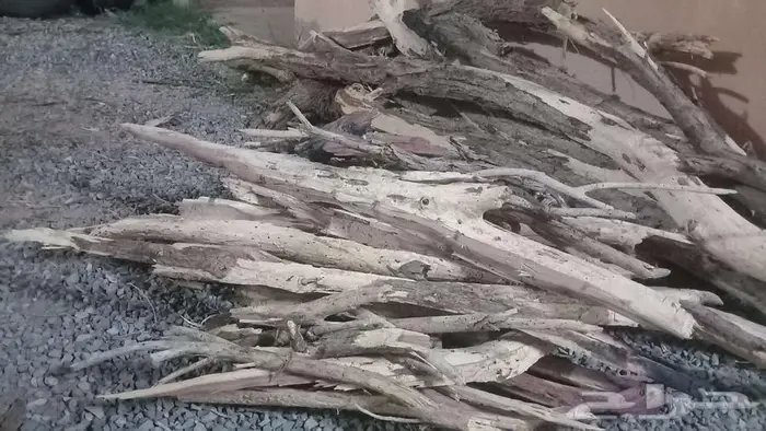 محفظة الغزاله 3