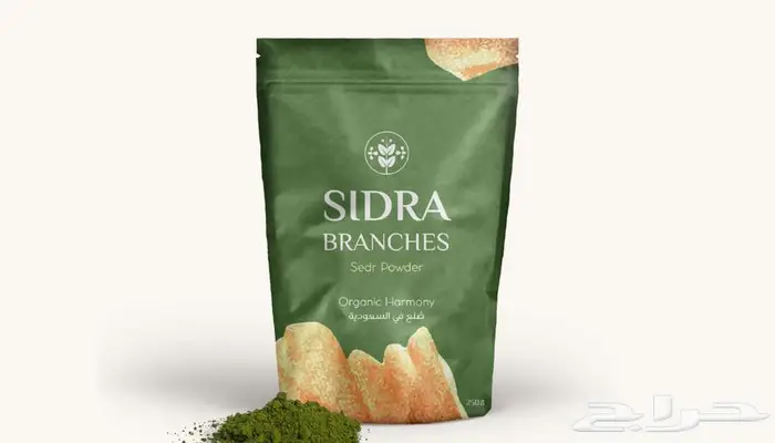 مصممة جرافيك 1