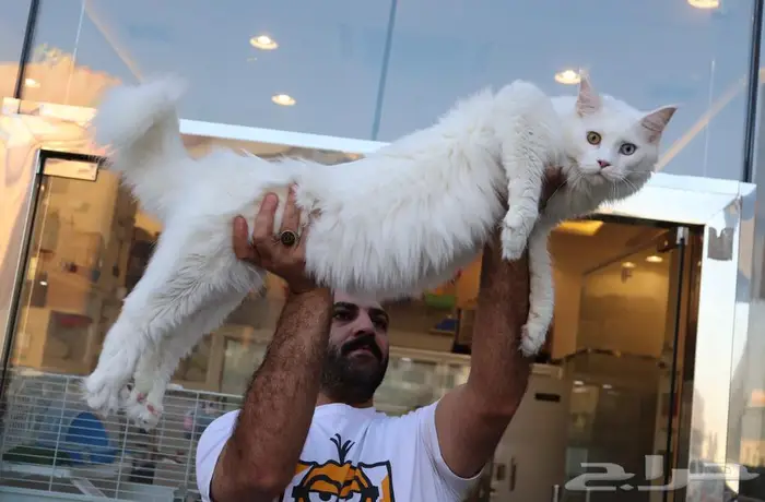 تم البيع Sold out 0